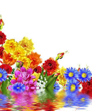 Beyaz bir arka plan üzerinde parlak bahar çiçekleri.