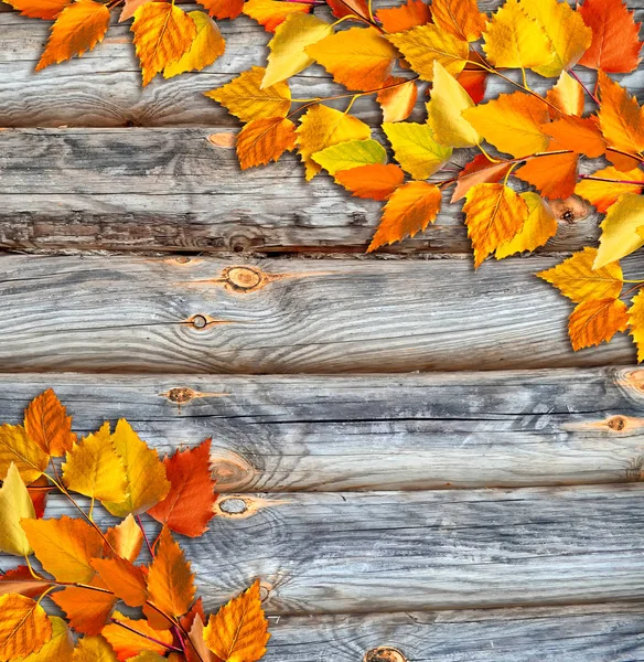 Herbstlandschaft mit leuchtend buntem Laub. Indischer Sommer. — Stockfoto