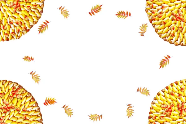 Beyaz arka plan üzerinde izole renkli sonbahar yaprakları. Hint toplamı — Stok fotoğraf