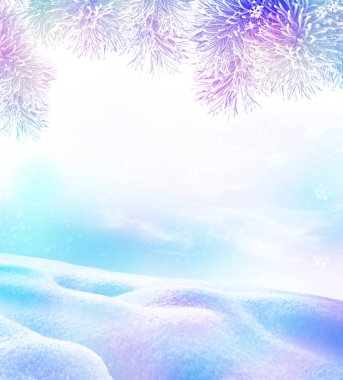  Donmuş orman. Kış manzarası. Karla kaplı ağaçlar. 