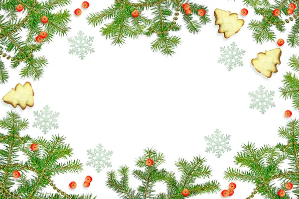 Christmas composition. Green spruce decorated with berries of mo — Stock Photo, Image