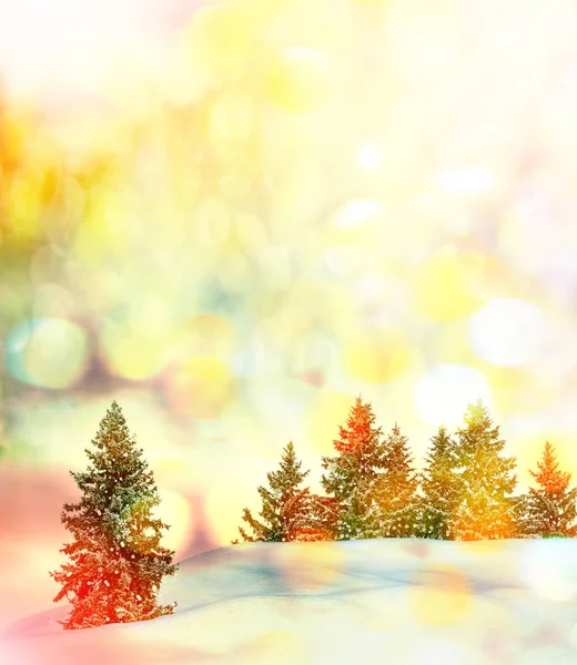 Wald im Frost. Winterlandschaft. Schneebedeckte Bäume. — Stockfoto