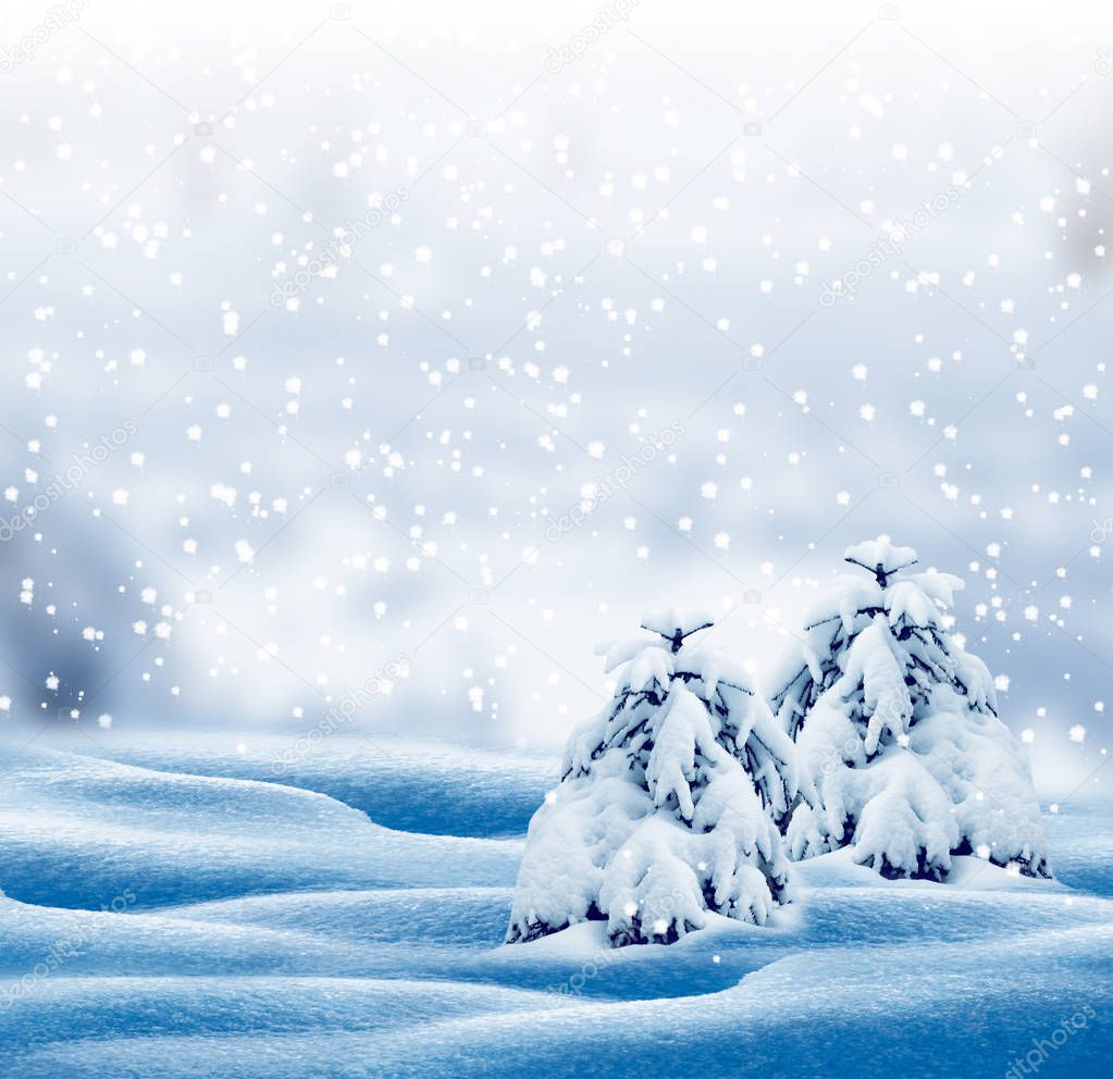  forest in the frost. Winter landscape. Snow covered trees. 