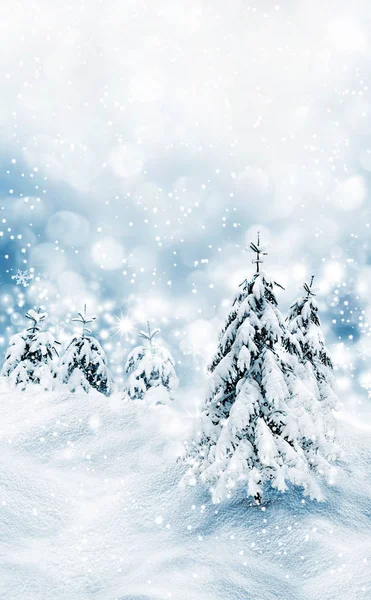 Wald im Frost. Winterlandschaft. Schneebedeckte Bäume. — Stockfoto