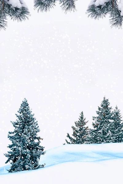 Wald im Frost. Winterlandschaft. Schneebedeckte Bäume. — Stockfoto