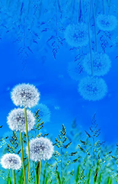 Grama verde no fundo céu azul — Fotografia de Stock