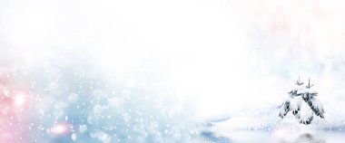 Donmuş orman. Kış manzarası. Karla kaplı ağaçlar. 