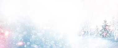 Donmuş orman. Kış manzarası. Karla kaplı ağaçlar. 