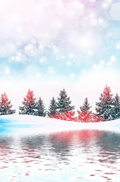 Wald im Frost. Winterlandschaft. Schneebedeckte Bäume. — Stockfoto