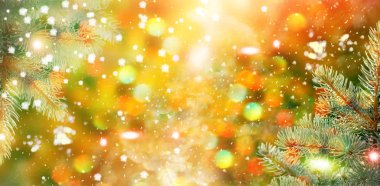  Donmuş orman. Kış manzarası. Karla kaplı ağaçlar. 