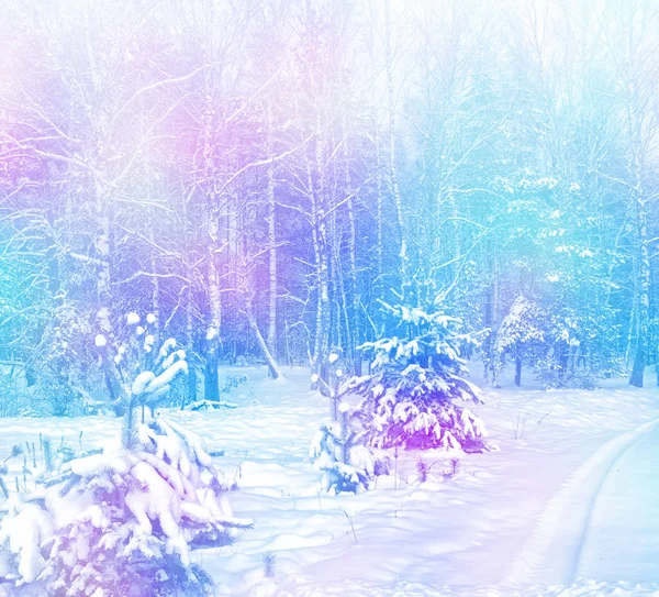 Wald im Frost. Winterlandschaft. Schneebedeckte Bäume. — Stockfoto