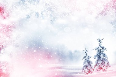  Donmuş orman. Kış manzarası. Karla kaplı ağaçlar. 