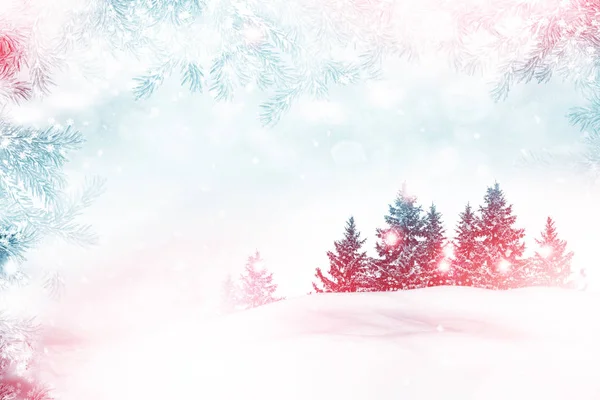 Bos in de vorst. Winterlandschap. Met sneeuw bedekte bomen. — Stockfoto