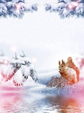  Kış manzarası. Ağaçlar kar kaplı