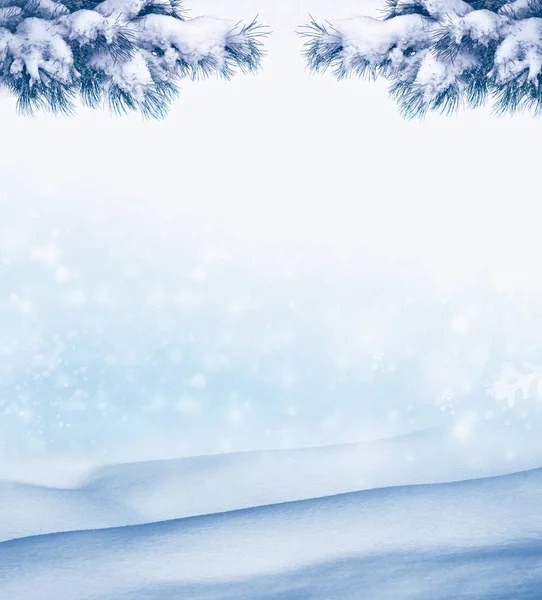 Fondo de Navidad con ramas de abeto cubiertas de nieve — Foto de Stock