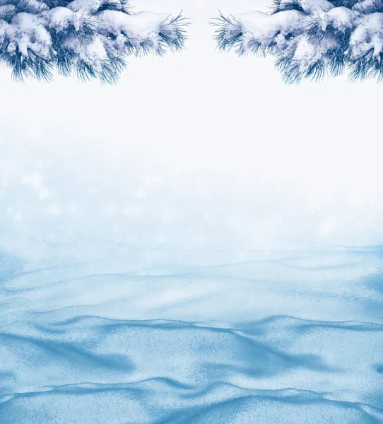 Jul bakgrund med snötäckta fir grenar — Stockfoto