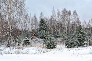  Kışın karla kaplı ormandaki köy. Tatil kartı.