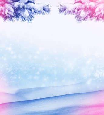 Karla kaplı çam dalları ile Noel arka plan