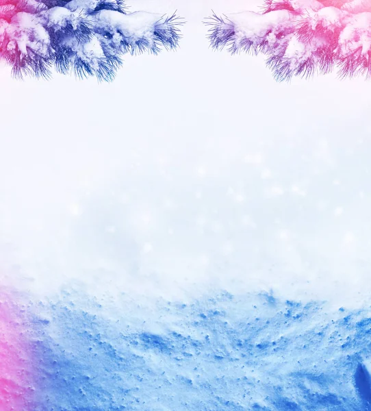 Fundo de Natal com ramos de abeto cobertos de neve — Fotografia de Stock