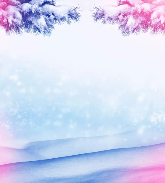Karla kaplı çam dalları ile Noel arka plan — Stok fotoğraf