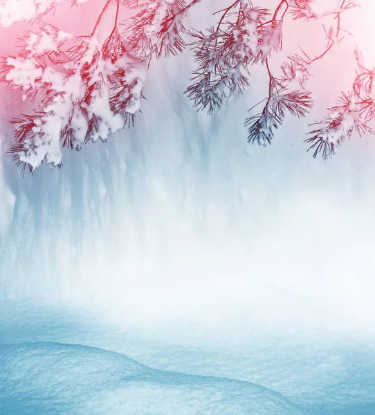 Kerstmis achtergrond met sneeuw bedekte fir takken — Stockfoto