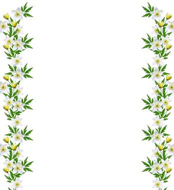 bahar beyaz zemin üzerine izole kardelen çiçek. 