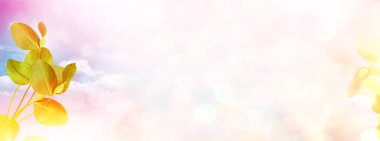 Bir arka plan yaz manzara yapraklarda Yeşil yonca