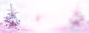  Donmuş orman. Kış manzarası. Karla kaplı ağaçlar. 