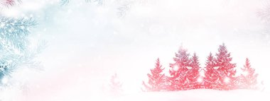  Donmuş orman. Kış manzarası. Karla kaplı ağaçlar. 