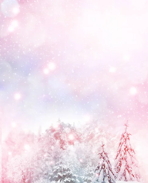 얼어붙은 겨울 숲에 눈덮인 나무들. — 스톡 사진