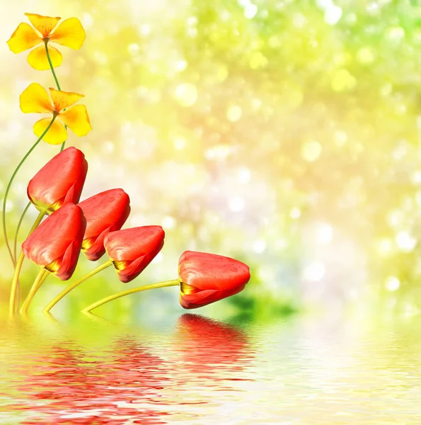 Φωτεινά και πολύχρωμα λουλούδια τουλίπες — Φωτογραφία Αρχείου