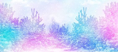  Karla kaplı ağaçlarla donuk kış ormanı.