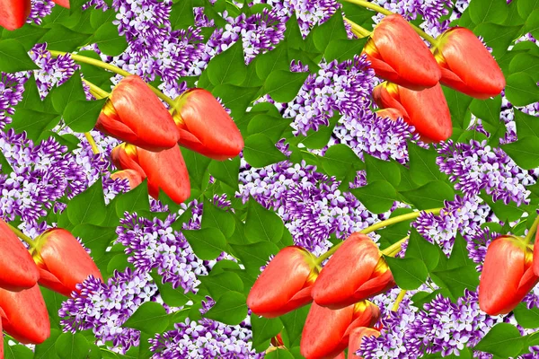 Bukiety kwiatów bzu — Zdjęcie stockowe