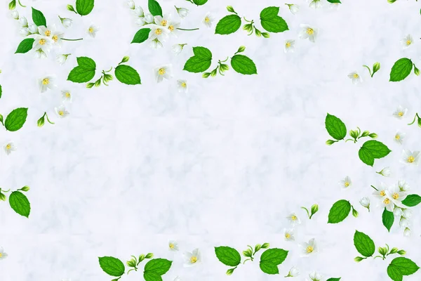 Composición de flores de jazmín blanco. Piso tendido, vista superior . — Foto de Stock