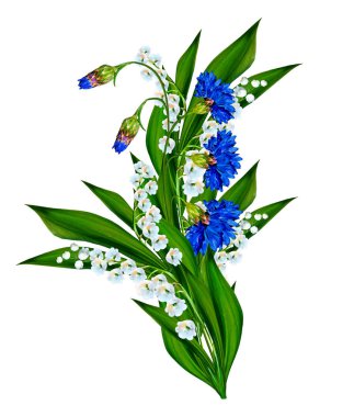 Beyaz arka plan üzerinde izole papatyalar yaz çiçek. 