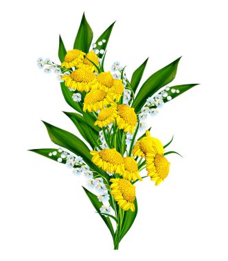 Beyaz arka plan üzerinde izole papatyalar yaz çiçek. 