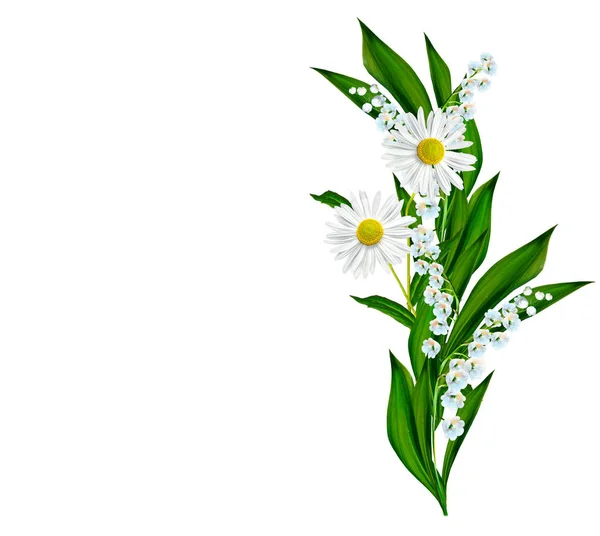 Beyaz arka plan üzerinde izole papatyalar yaz çiçek. — Stok fotoğraf