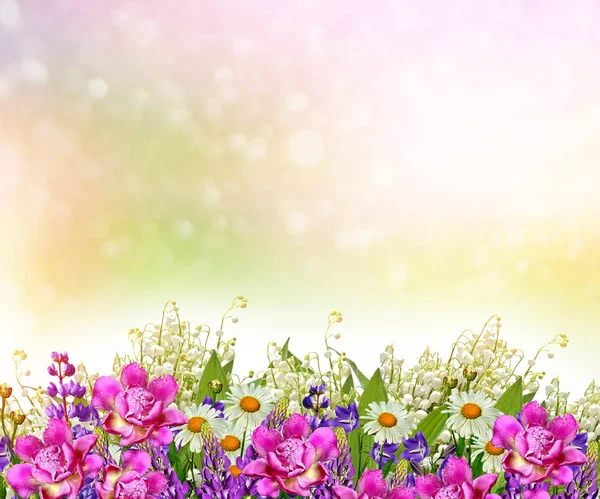 kır çiçekleri, yatay yaz.