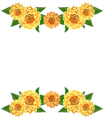 Beyaz bir arka plan üzerinde izole Petunyalar. Renkli çiçekler.