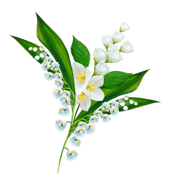 Oddział jaśminu kwiaty na białym tle — Zdjęcie stockowe