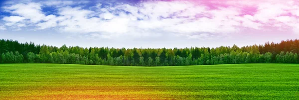 Paisagem com as árvores verdes brilhantes e céu azul . — Fotografia de Stock