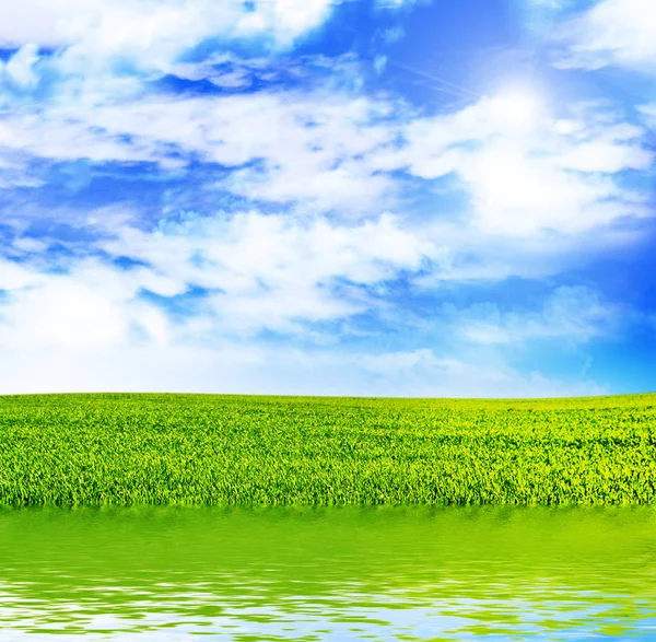 Prado com grama verde em um fundo de céu azul com nuvens — Fotografia de Stock