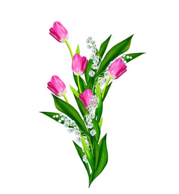 bahar çiçekleri beyaz arkaplanda izole laleler. 