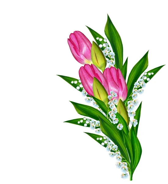 Flores da primavera tulipas isoladas no fundo branco. — Fotografia de Stock