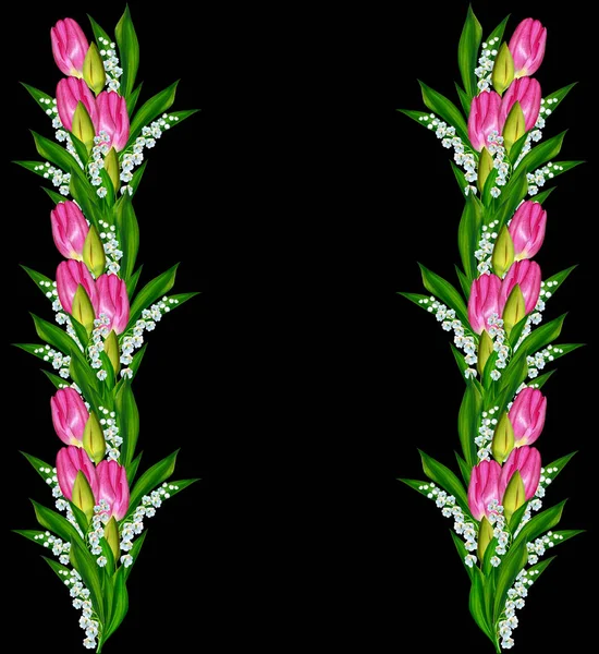 Spring flowers tulips isolated on black background. — Stock Photo, Image