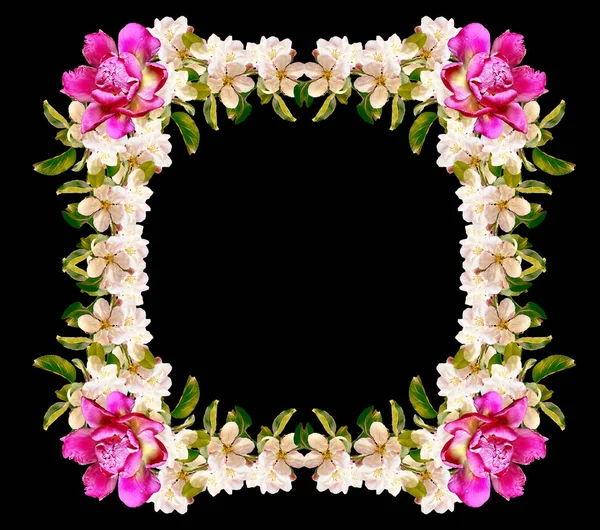 Rahmen aus hellen und farbenfrohen Blumen isoliert auf schwarzem Hintergrund — Stockfoto