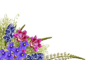 lupines güzel çiçekler üzerinde beyaz bir arka plan