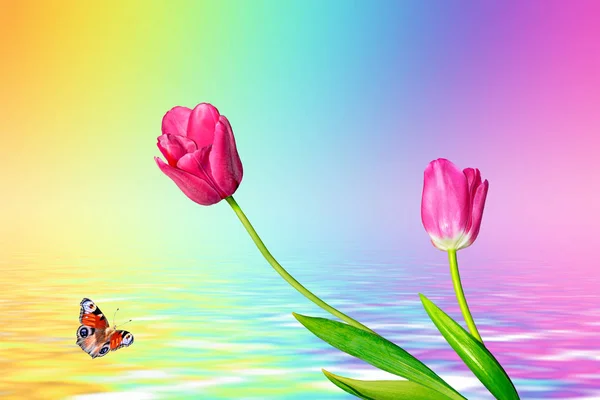 明るくカラフルな花チューリップ — ストック写真