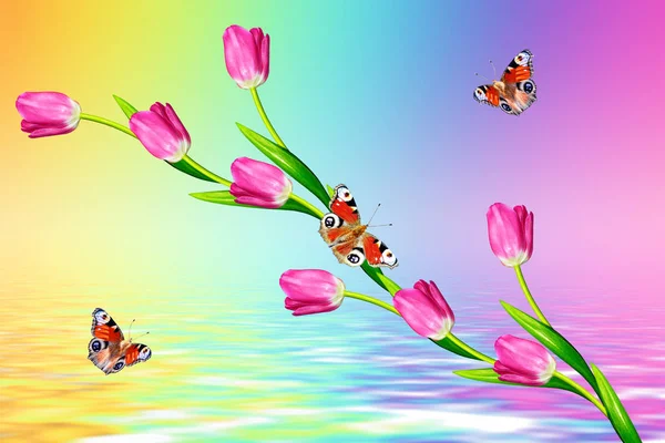 Tulipas de flores brilhantes e coloridas — Fotografia de Stock