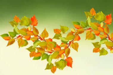 sonbahar manzara parlak renkli yeşillik ile. Pastırma yazı.